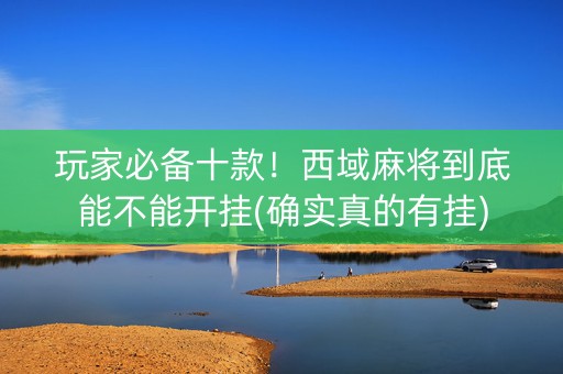 玩家必备十款！西域麻将到底能不能开挂(确实真的有挂)