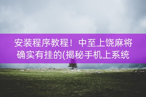 安装程序教程！中至上饶麻将确实有挂的(揭秘手机上系统发好牌)