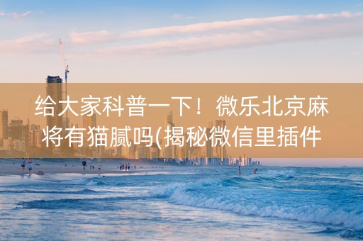 给大家科普一下！微乐北京麻将有猫腻吗(揭秘微信里插件下载)