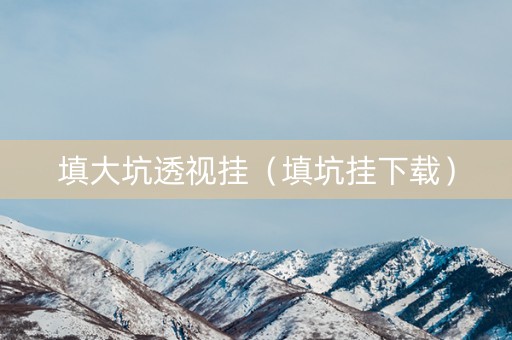 填大坑透视挂（填坑挂下载）