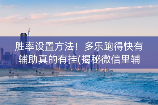 胜率设置方法！多乐跑得快有辅助真的有挂(揭秘微信里辅牌器)