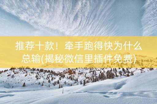 推荐十款！牵手跑得快为什么总输(揭秘微信里插件免费)