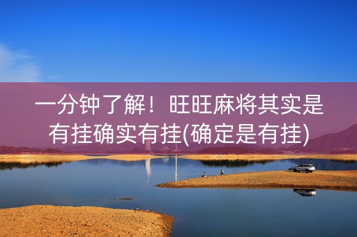 一分钟了解！旺旺麻将其实是有挂确实有挂(确定是有挂)