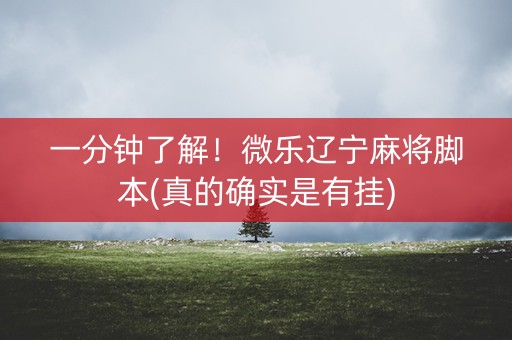 一分钟了解！微乐辽宁麻将脚本(真的确实是有挂)