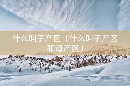 什么叫子产区（什么叫子产区和母产区）