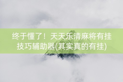 终于懂了！天天乐清麻将有挂技巧辅助器(其实真的有挂)