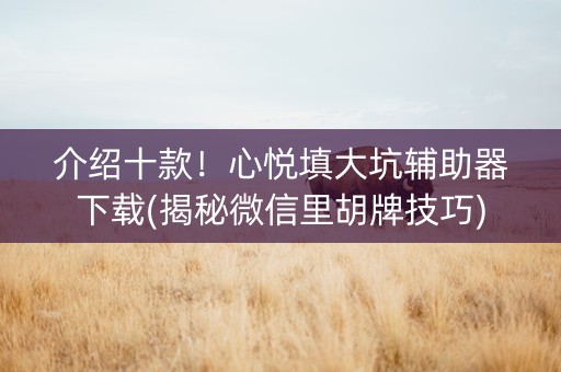 介绍十款！心悦填大坑辅助器下载(揭秘微信里胡牌技巧)