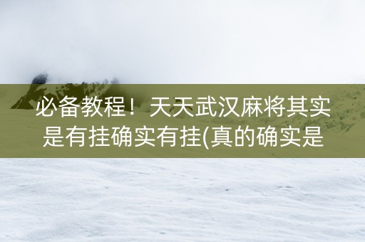 必备教程！天天武汉麻将其实是有挂确实有挂(真的确实是有挂)