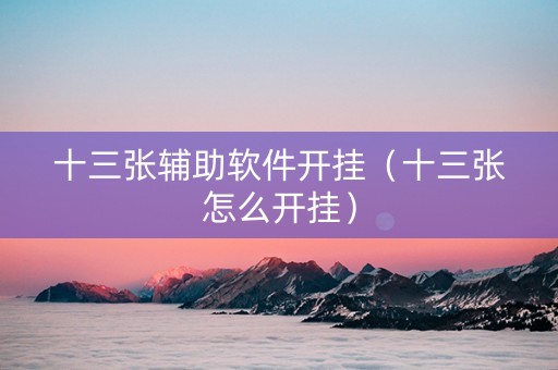 十三张辅助软件开挂（十三张怎么开挂）