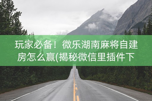 玩家必备！微乐湖南麻将自建房怎么赢(揭秘微信里插件下载)