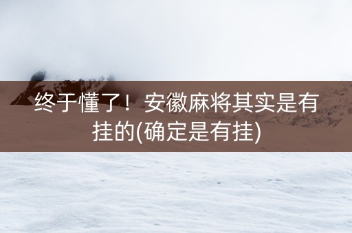 终于懂了！安徽麻将其实是有挂的(确定是有挂)