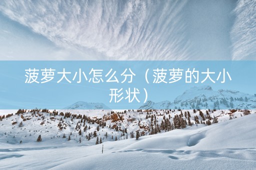菠萝大小怎么分（菠萝的大小形状）