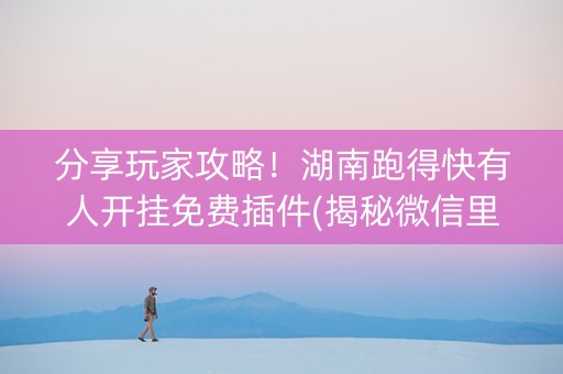 分享玩家攻略！湖南跑得快有人开挂免费插件(揭秘微信里最新神器下载)