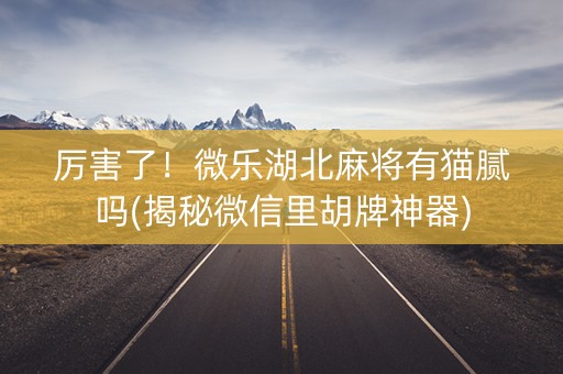 厉害了！微乐湖北麻将有猫腻吗(揭秘微信里胡牌神器)