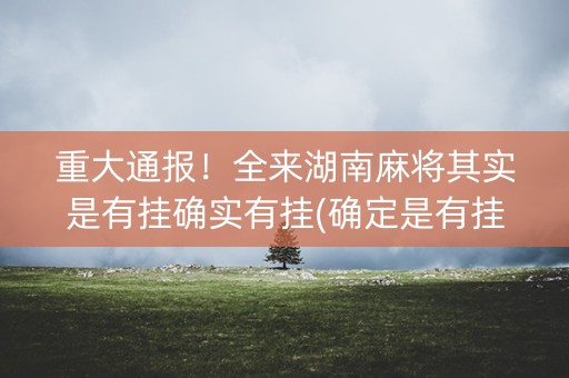 重大通报！全来湖南麻将其实是有挂确实有挂(确定是有挂)