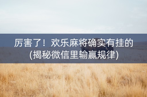 厉害了！欢乐麻将确实有挂的(揭秘微信里输赢规律)