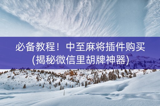 必备教程！中至麻将插件购买(揭秘微信里胡牌神器)