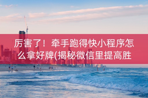 厉害了！牵手跑得快小程序怎么拿好牌(揭秘微信里提高胜率)