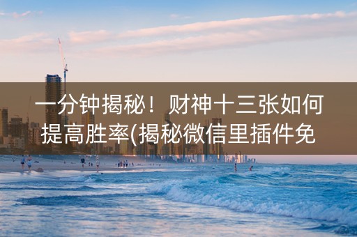 一分钟揭秘！财神十三张如何提高胜率(揭秘微信里插件免费)