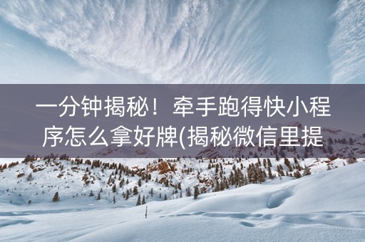 一分钟揭秘！牵手跑得快小程序怎么拿好牌(揭秘微信里提高胜率)