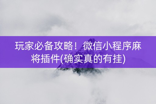 玩家必备攻略！微信小程序麻将插件(确实真的有挂)