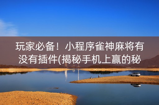 玩家必备！小程序雀神麻将有没有插件(揭秘手机上赢的秘诀)