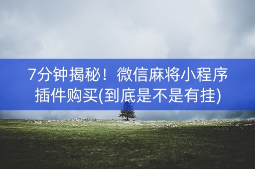 7分钟揭秘！微信麻将小程序插件购买(到底是不是有挂)