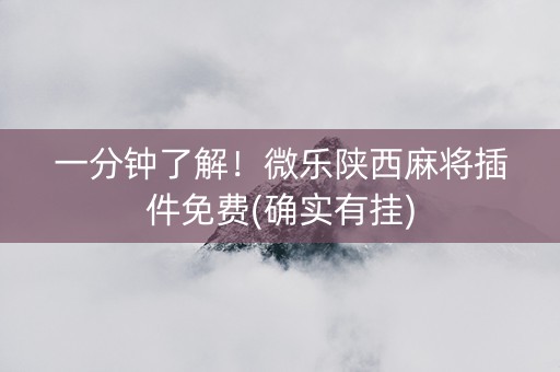 一分钟了解！微乐陕西麻将插件免费(确实有挂)