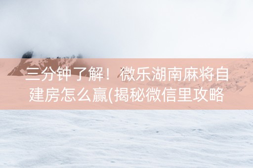 三分钟了解！微乐湖南麻将自建房怎么赢(揭秘微信里攻略插件)