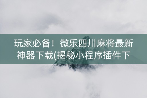 玩家必备！微乐四川麻将最新神器下载(揭秘小程序插件下载)