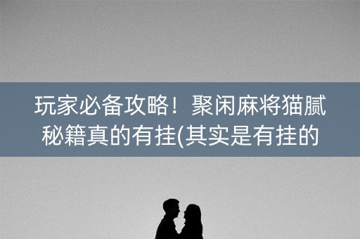 玩家必备攻略！聚闲麻将猫腻秘籍真的有挂(其实是有挂的)