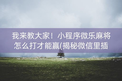 我来教大家！小程序微乐麻将怎么打才能赢(揭秘微信里插件免费)