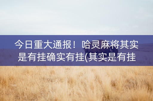 今日重大通报！哈灵麻将其实是有挂确实有挂(其实是有挂确实有挂)