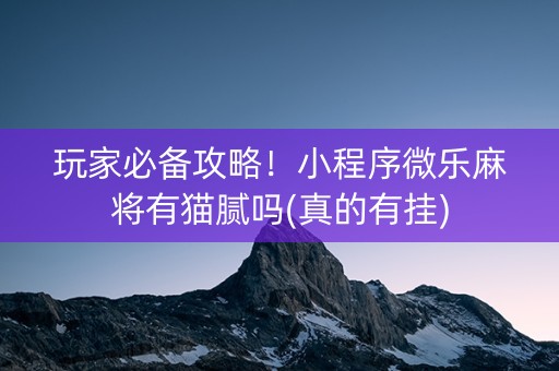 玩家必备攻略！小程序微乐麻将有猫腻吗(真的有挂)