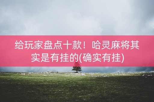 给玩家盘点十款！哈灵麻将其实是有挂的(确实有挂)