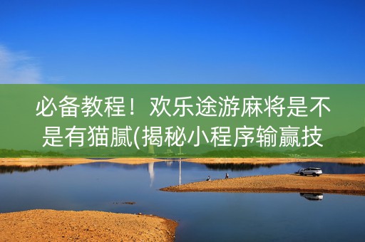 必备教程！欢乐途游麻将是不是有猫腻(揭秘小程序输赢技巧)