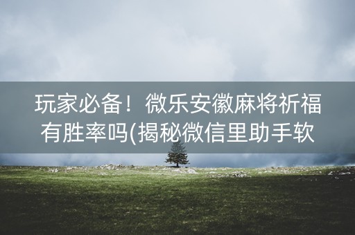 玩家必备！微乐安徽麻将祈福有胜率吗(揭秘微信里助手软件)