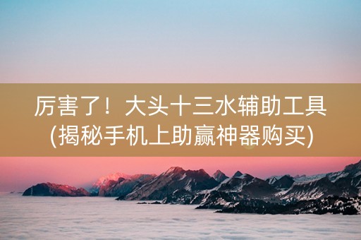 厉害了！大头十三水辅助工具(揭秘手机上助赢神器购买)