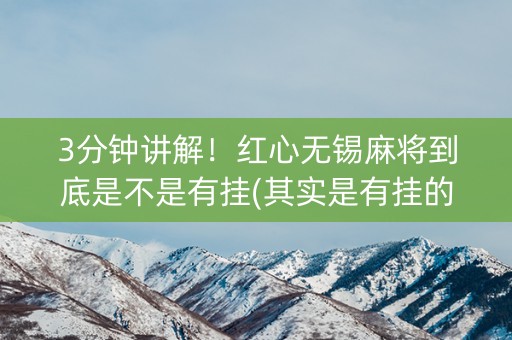 3分钟讲解！红心无锡麻将到底是不是有挂(其实是有挂的)