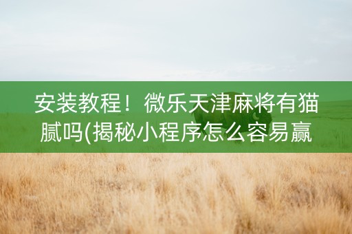 安装教程！微乐天津麻将有猫腻吗(揭秘小程序怎么容易赢)