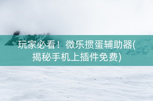 玩家必看！微乐掼蛋辅助器(揭秘手机上插件免费)