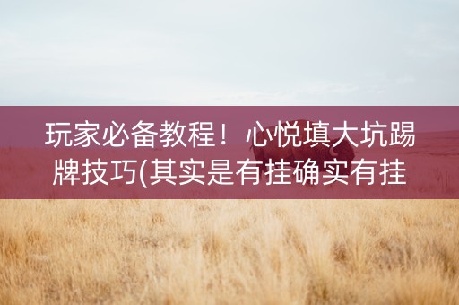 玩家必备教程！心悦填大坑踢牌技巧(其实是有挂确实有挂)