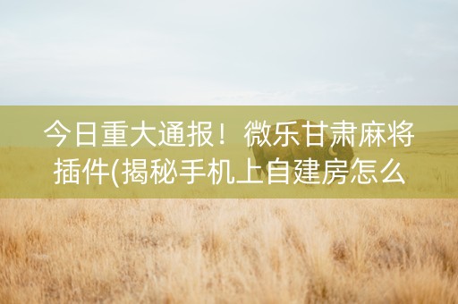 今日重大通报！微乐甘肃麻将插件(揭秘手机上自建房怎么赢)