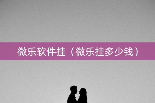 微乐软件挂（微乐挂多少钱）