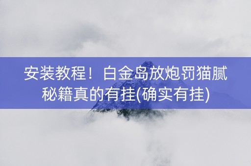 安装教程！白金岛放炮罚猫腻秘籍真的有挂(确实有挂)