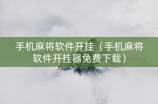 手机麻将软件开挂（手机麻将软件开挂器免费下载）