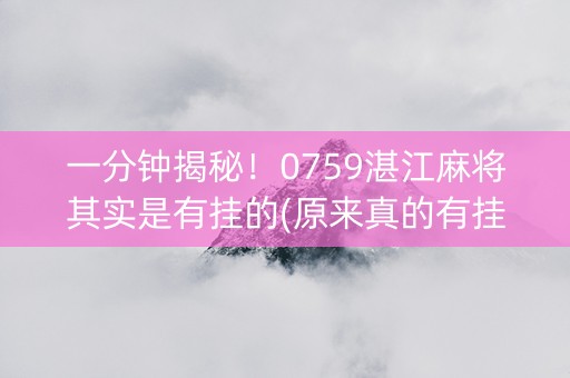 一分钟揭秘！0759湛江麻将其实是有挂的(原来真的有挂)