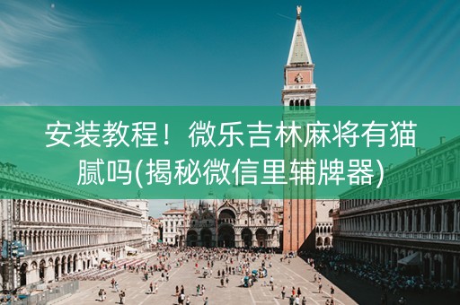安装教程！微乐吉林麻将有猫腻吗(揭秘微信里辅牌器)
