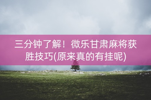 三分钟了解！微乐甘肃麻将获胜技巧(原来真的有挂呢)