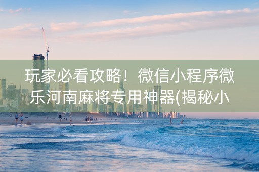 玩家必看攻略！微信小程序微乐河南麻将专用神器(揭秘小程序辅牌器)